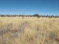 Kalahari sand dune, Sib project area